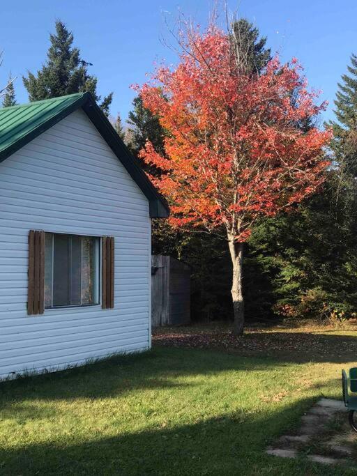 Le Jazz- Chalet Rustique/Chic Avec Spa Notre-Dame-Des-Bois ภายนอก รูปภาพ