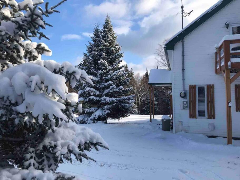 Le Jazz- Chalet Rustique/Chic Avec Spa Notre-Dame-Des-Bois ภายนอก รูปภาพ